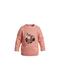 🐿️ Pull bébé fille tout doux – Écureuil craquant – 1 à 3 ans